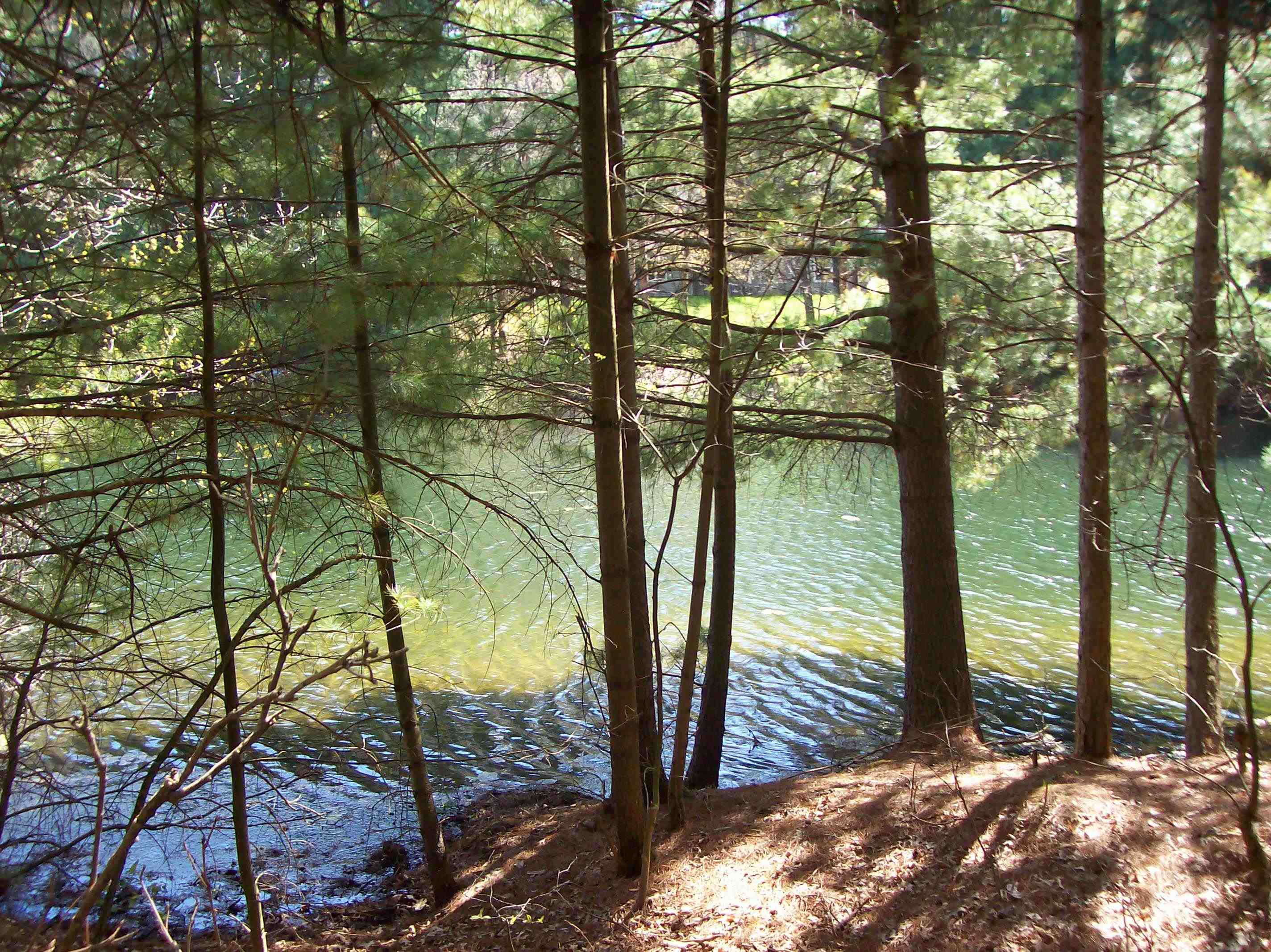 Herwig Wisconsin Dells, WI 53965 - Photo 14 of 27