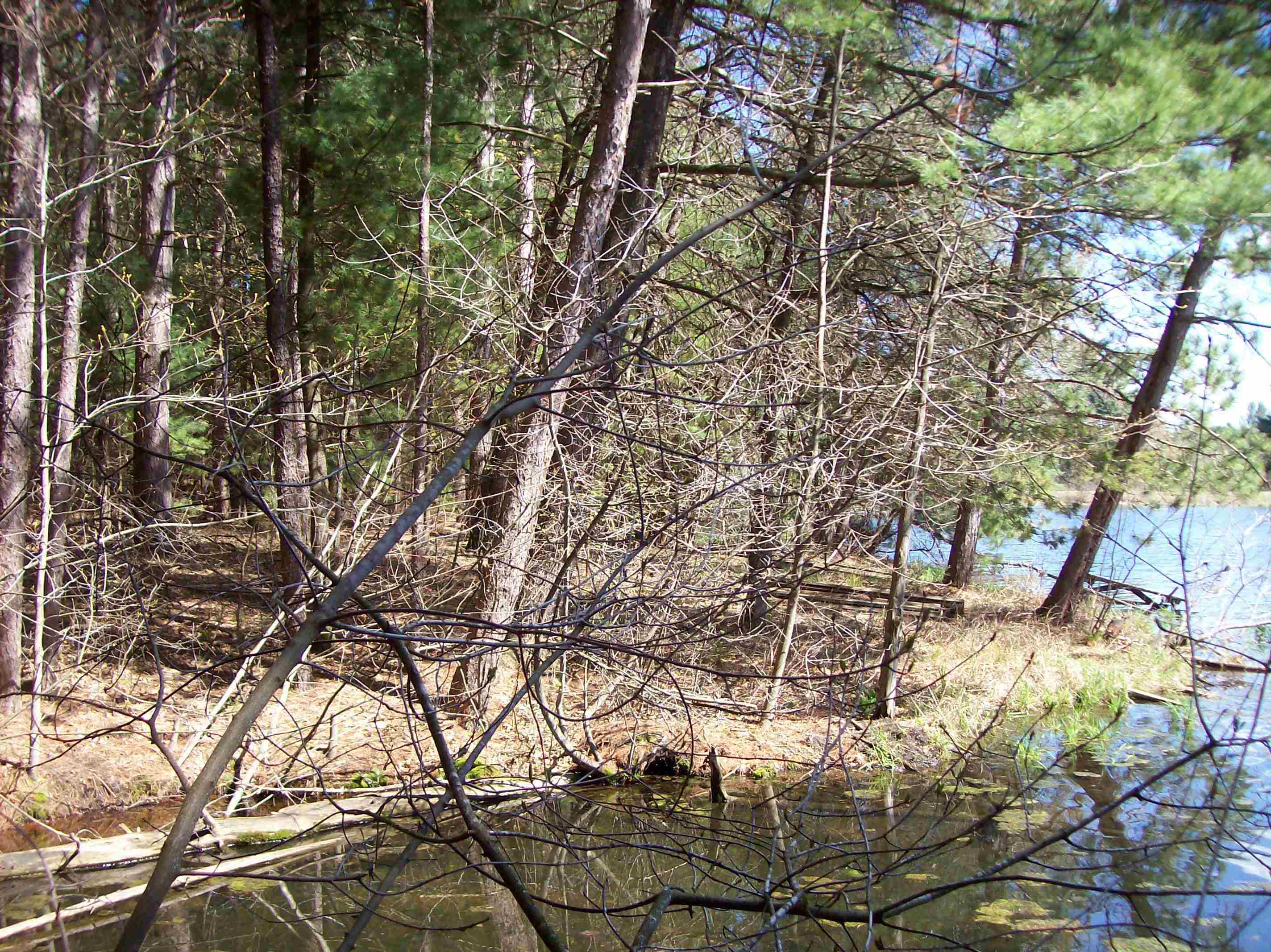 Herwig Wisconsin Dells, WI 53965 - Photo 15 of 27