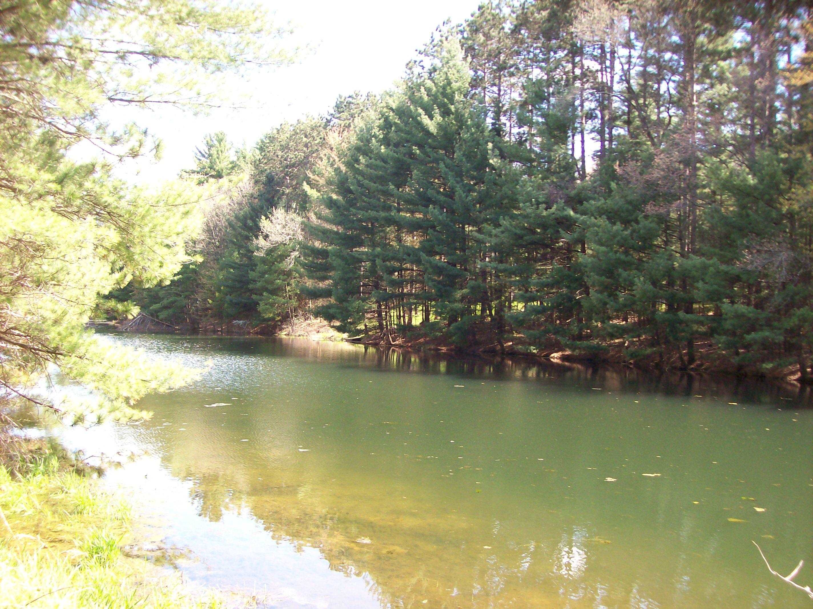 Herwig Wisconsin Dells, WI 53965 - Photo 16 of 27