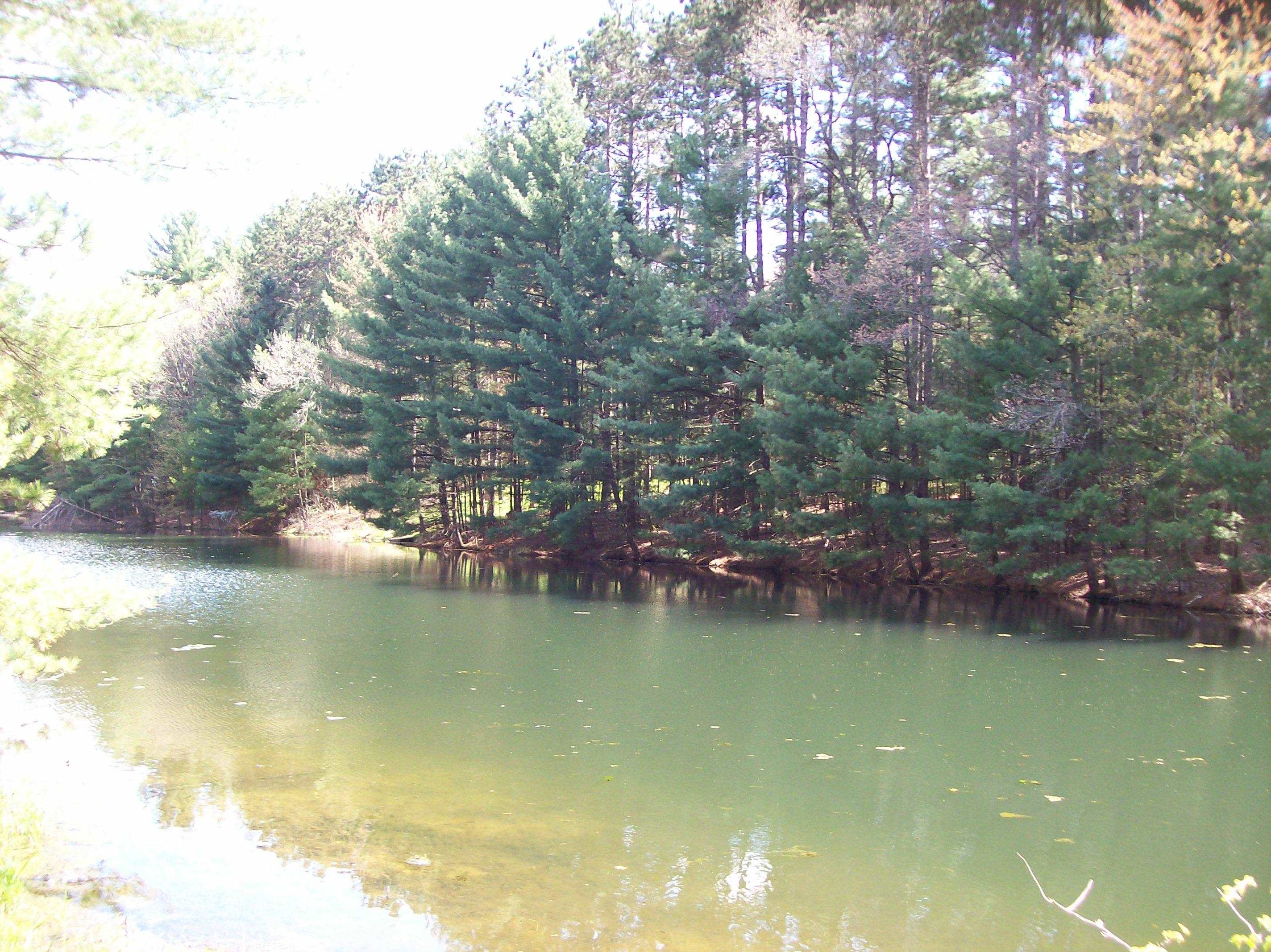 Herwig Wisconsin Dells, WI 53965 - Photo 17 of 27