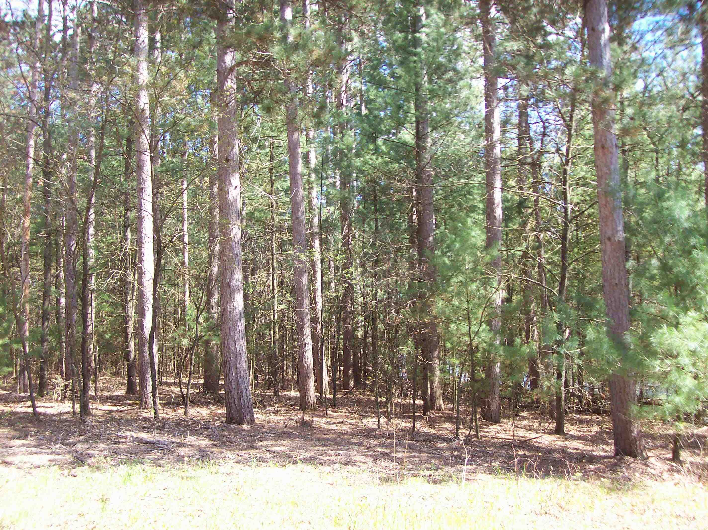 Herwig Wisconsin Dells, WI 53965 - Photo 22 of 27