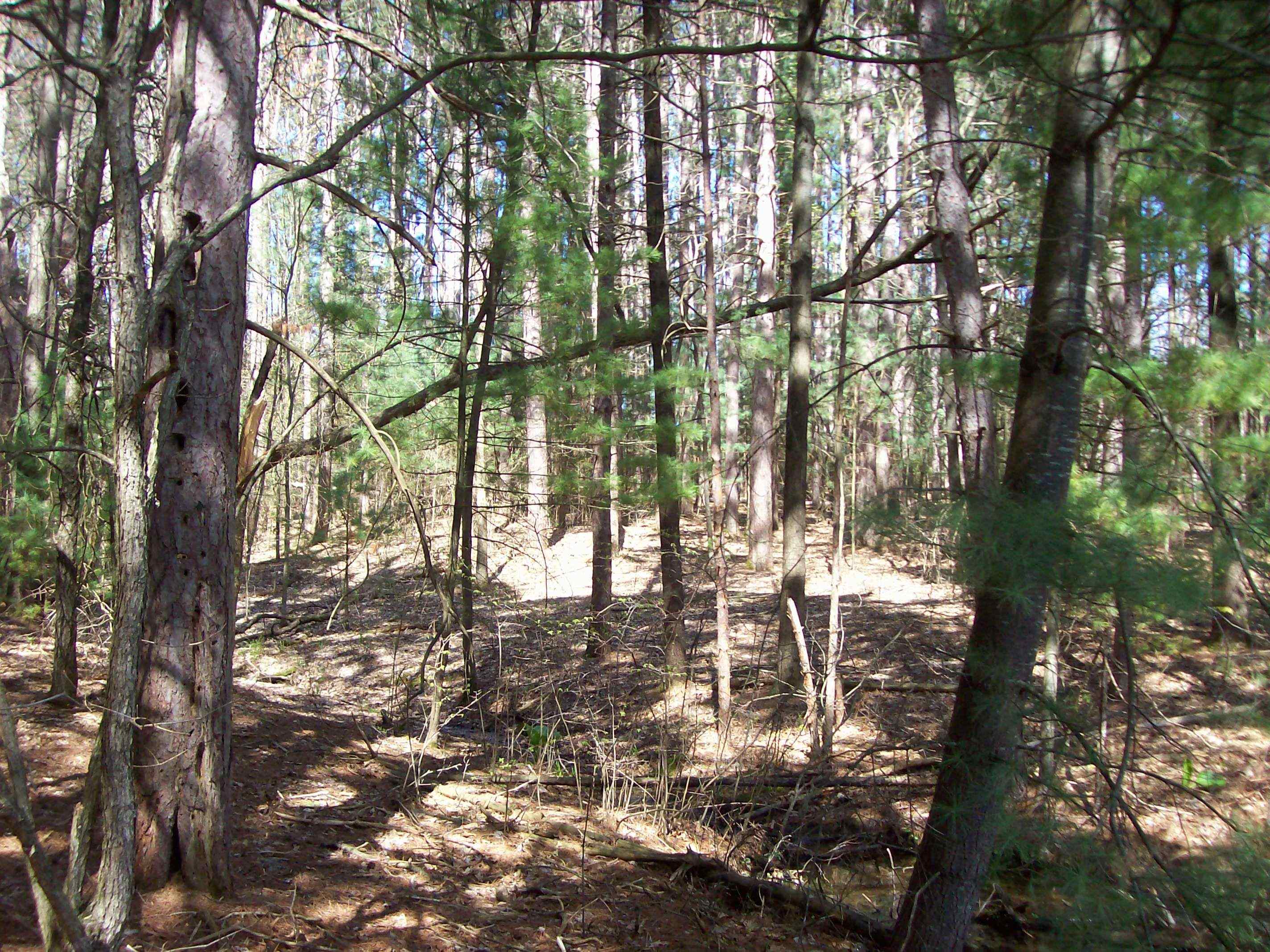 Herwig Wisconsin Dells, WI 53965 - Photo 26 of 27