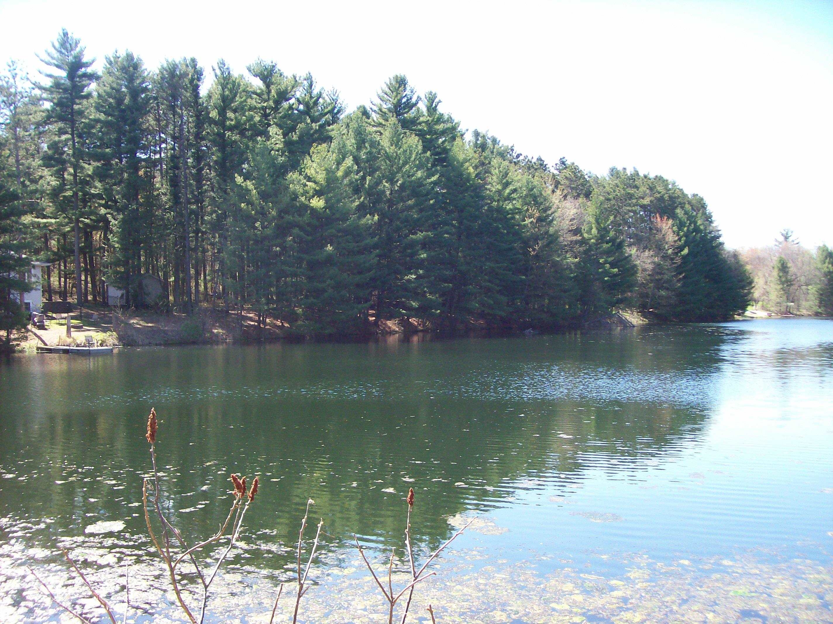 Herwig Wisconsin Dells, WI 53965 - Photo 3 of 27