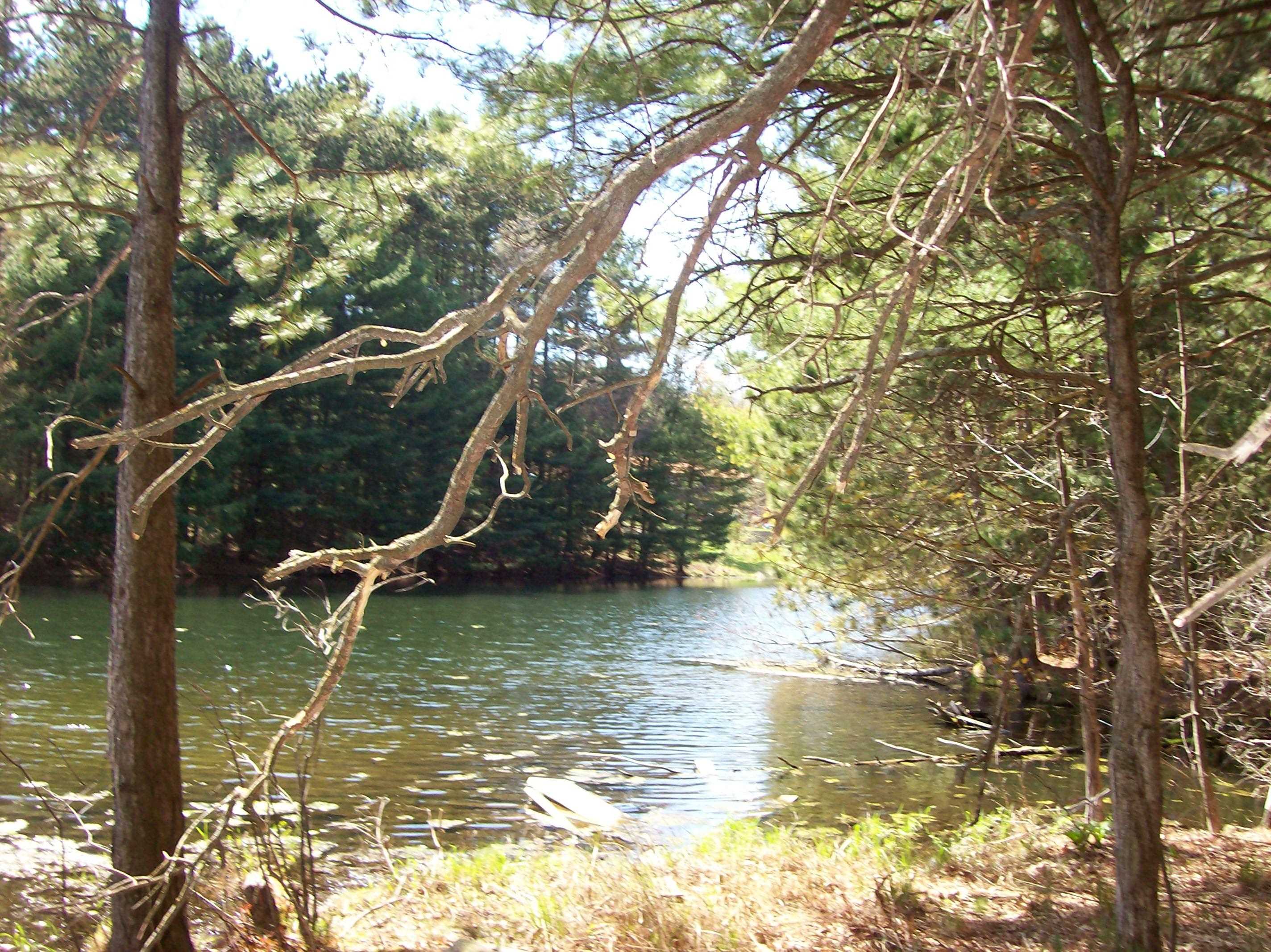 Herwig Wisconsin Dells, WI 53965 - Photo 5 of 27