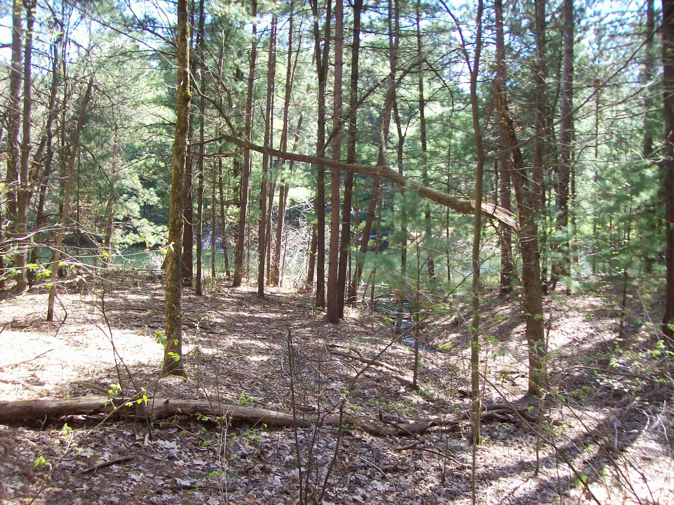 Herwig Wisconsin Dells, WI 53965 - Photo 9 of 27