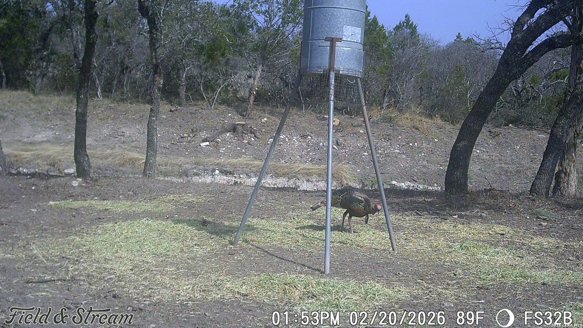 0 Rm 1221 London, TX 76854 - Photo 18 of 50 Gallery Image 18