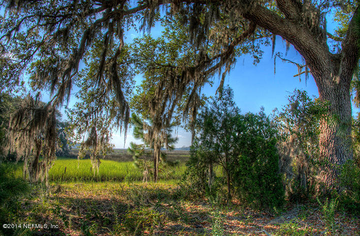 12157 Ridge Crossing Way Jacksonville, FL 32226 - Photo 15 of 25 Tidewater_Nature5_FB