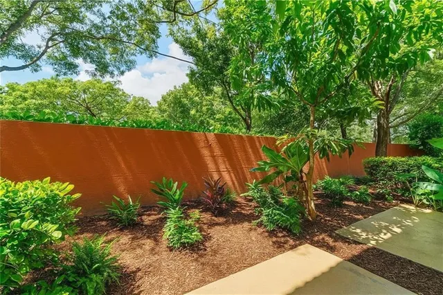 an outdoor space with plants and trees