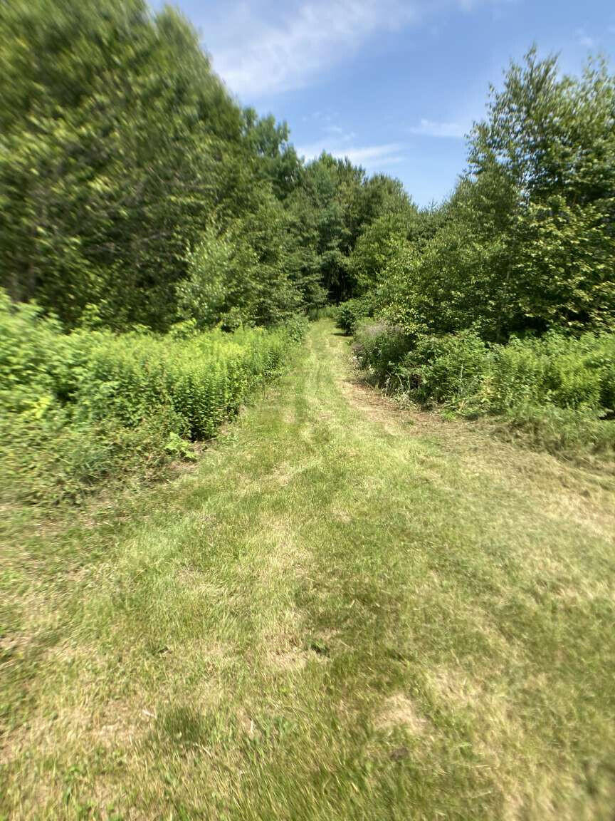 88 Hanson Road China, ME 04358 - Photo 18 of 44 Fox.18