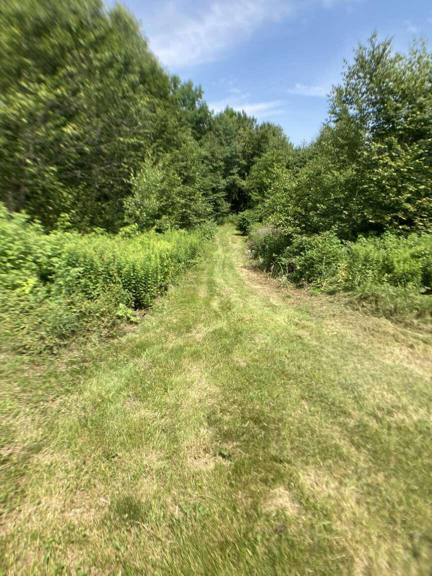 88 Hanson Road China, ME 04358 - Photo 18 of 44 Fox.18