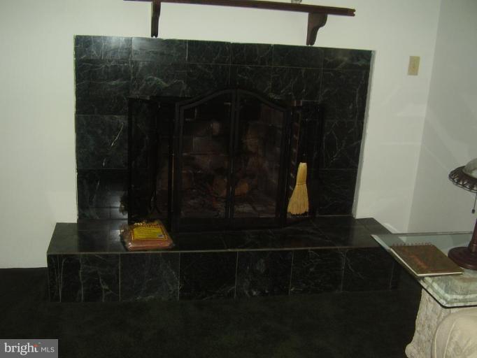 8401 Horatio Road Randallstown, MD 21133 - Photo 2 of 17 Fireplace