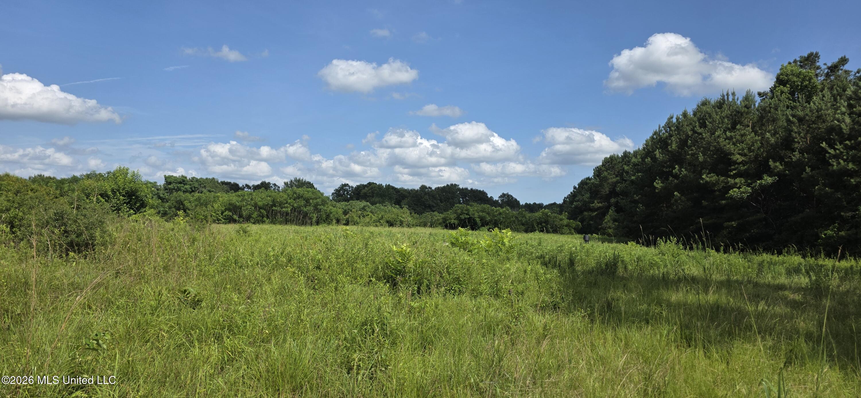 2046 Barto Leggett Road McComb, MS 39648 - Photo 2 of 29 20260623_155836