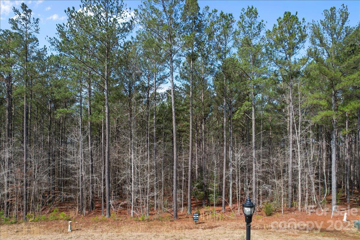 6217 Chimney Bluff Road Lancaster, SC 29720 - Photo 23 of 35 Gallery Image 23