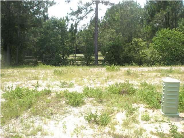 Lot 19 Water Oaks Loop Santa Rosa Beach, FL 32459 - Photo 1 of 1 Gallery Image 1