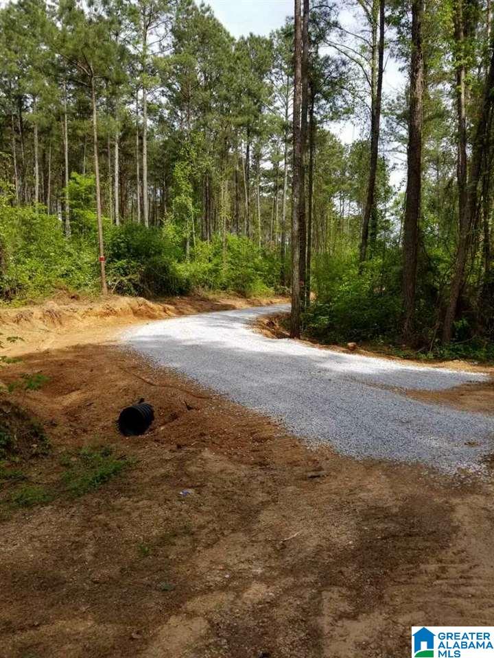 0 Gould Road Columbiana, AL 35051 - Photo 2 of 7