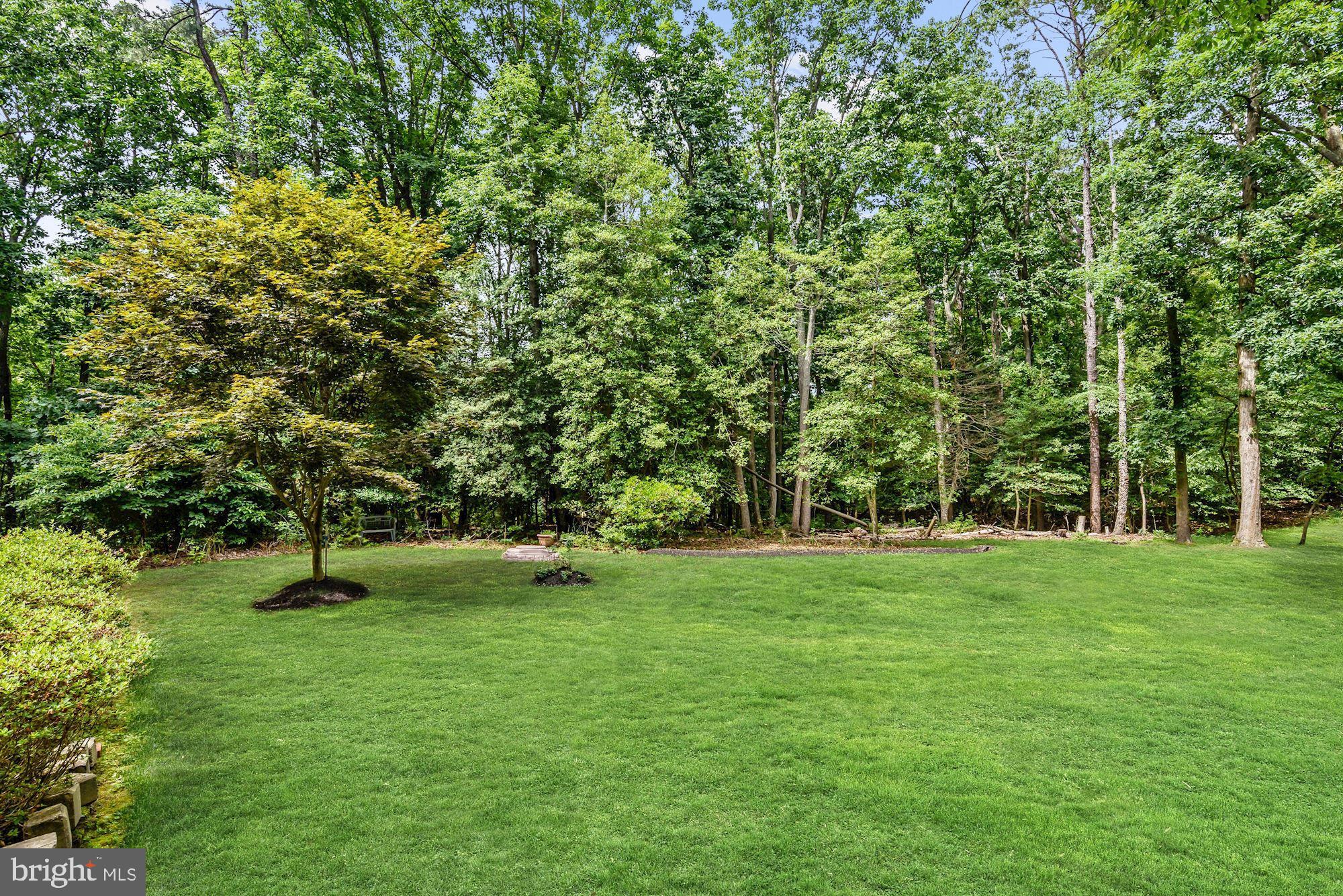 331 Edgewater Road Pasadena, MD 21122 - Photo 28 of 29 Rear Yard