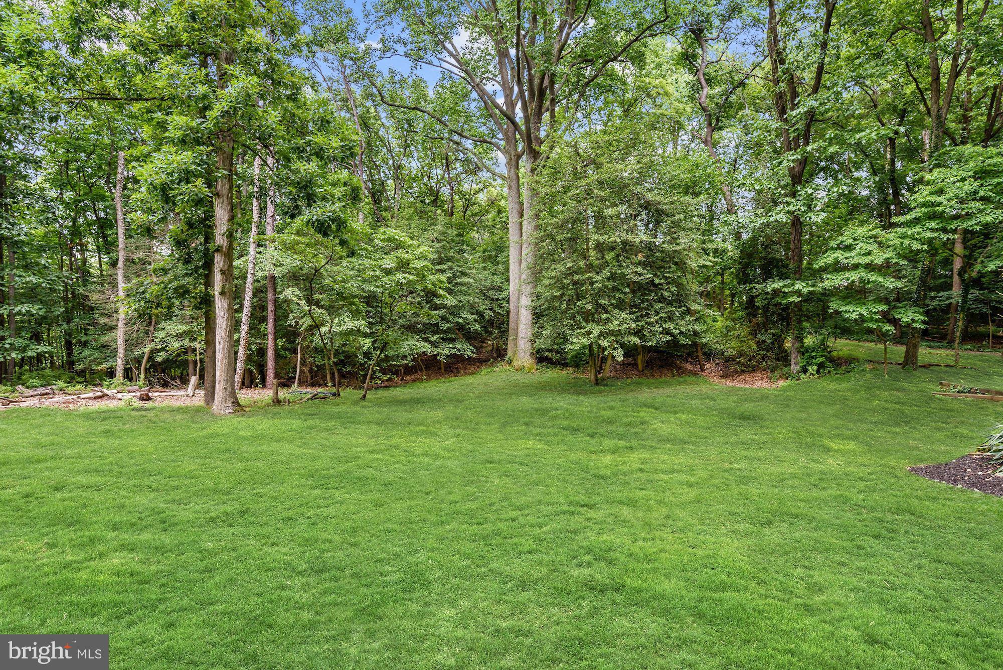 331 Edgewater Road Pasadena, MD 21122 - Photo 29 of 29 Rear Yard