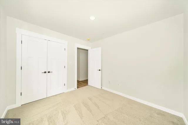 a view of a yard with trees