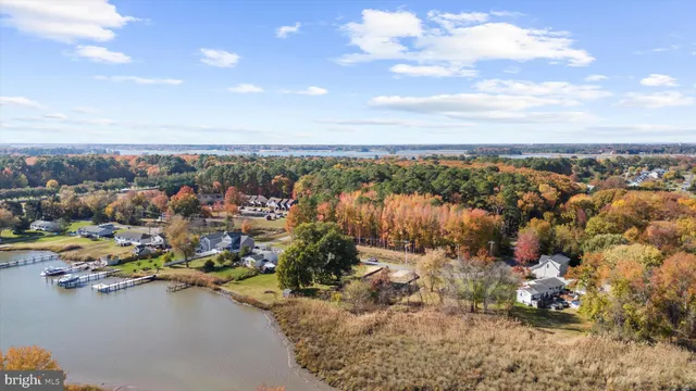a view of a white house with a large window and a yard with plants and large trees