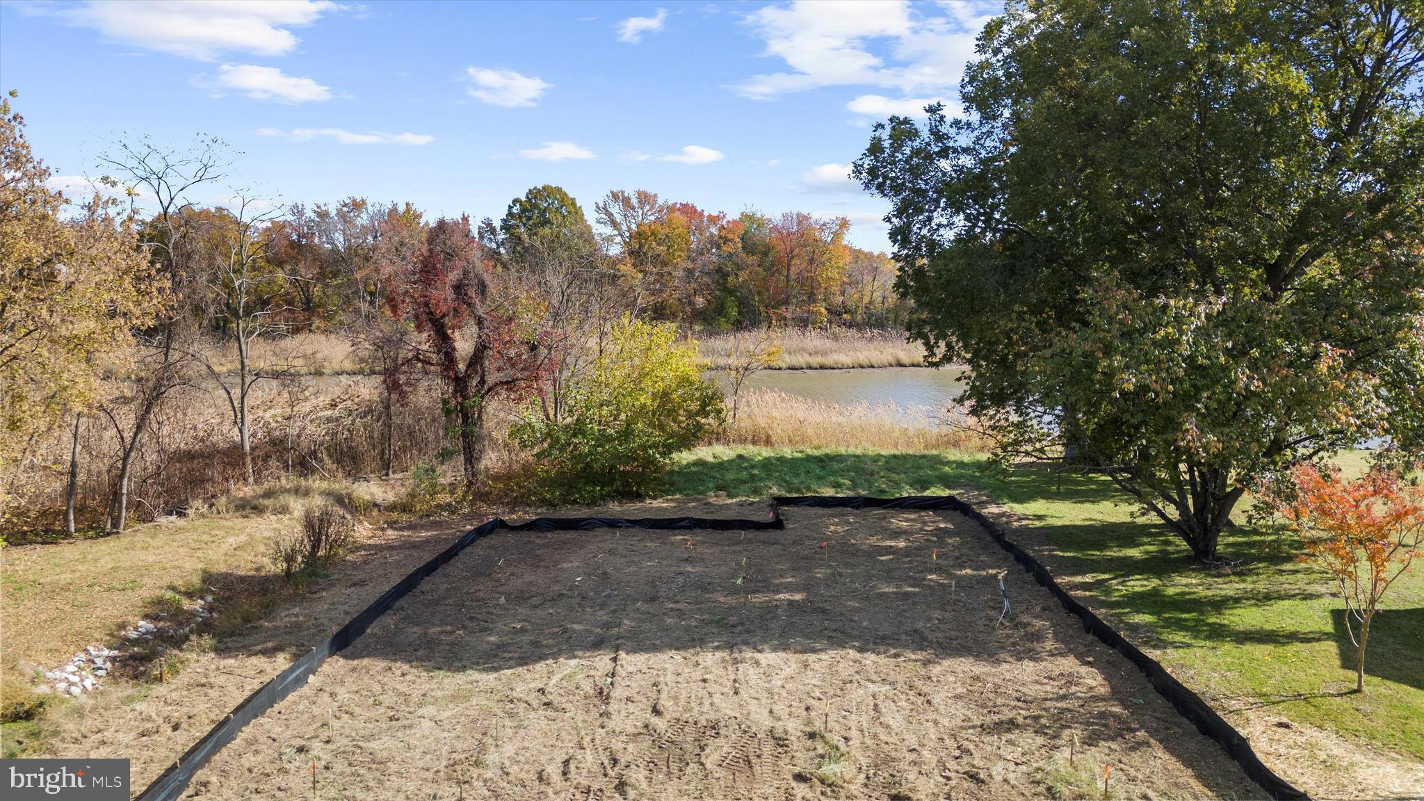 203 Riverside Drive Chester, MD 21619 - Photo 68 of 68 a view of a yard with trees