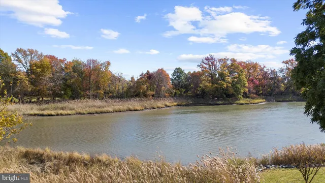 a large white kitchen with kitchen island a sink wooden floor and stainless steel appliances