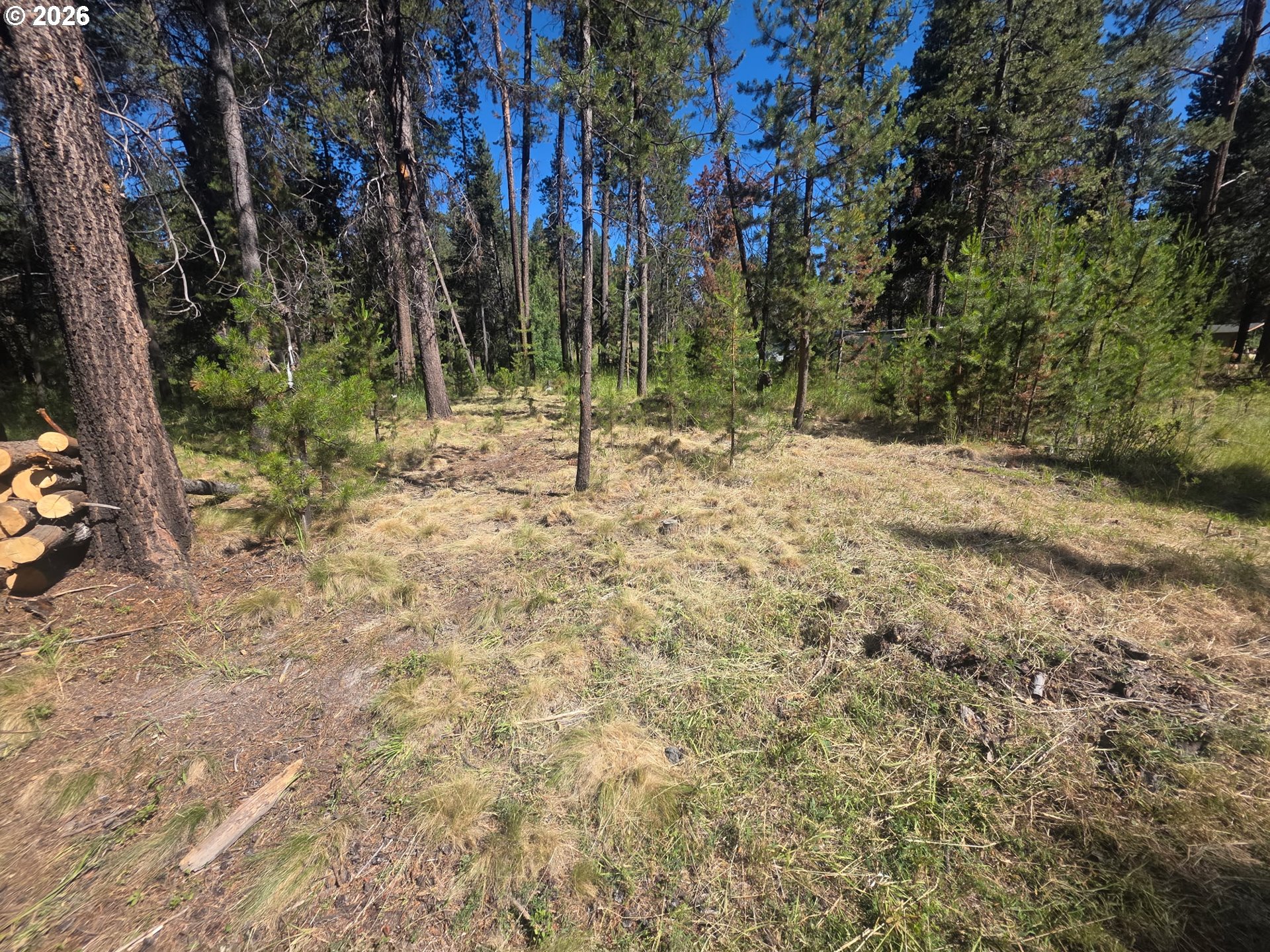 17040 Island Loop Way Bend, OR 97707 - Photo 3 of 6