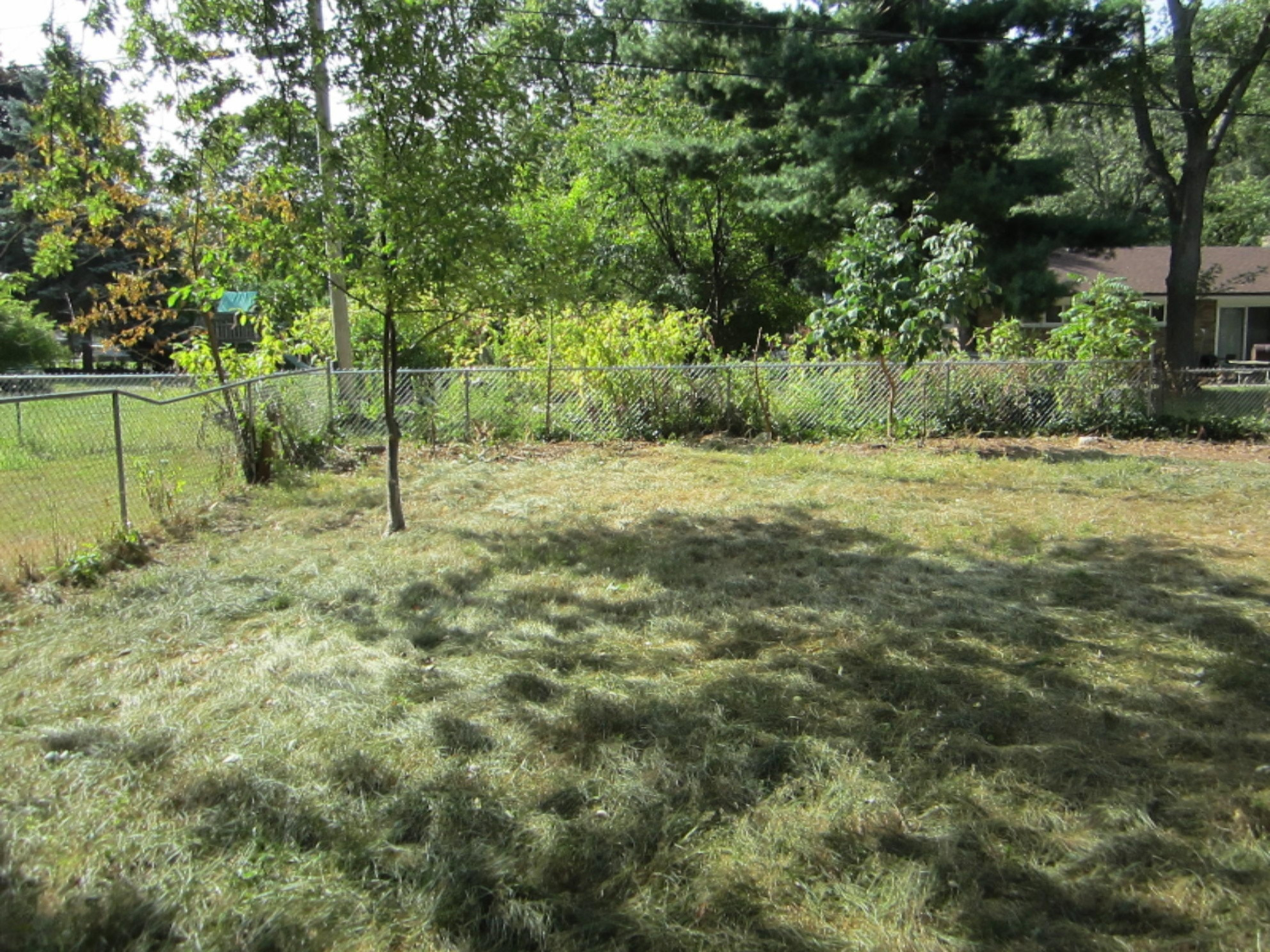 524 Ottawa Road Benton Harbor, MI 49022 - Photo 7 of 9 2017-08-31 23.25.40