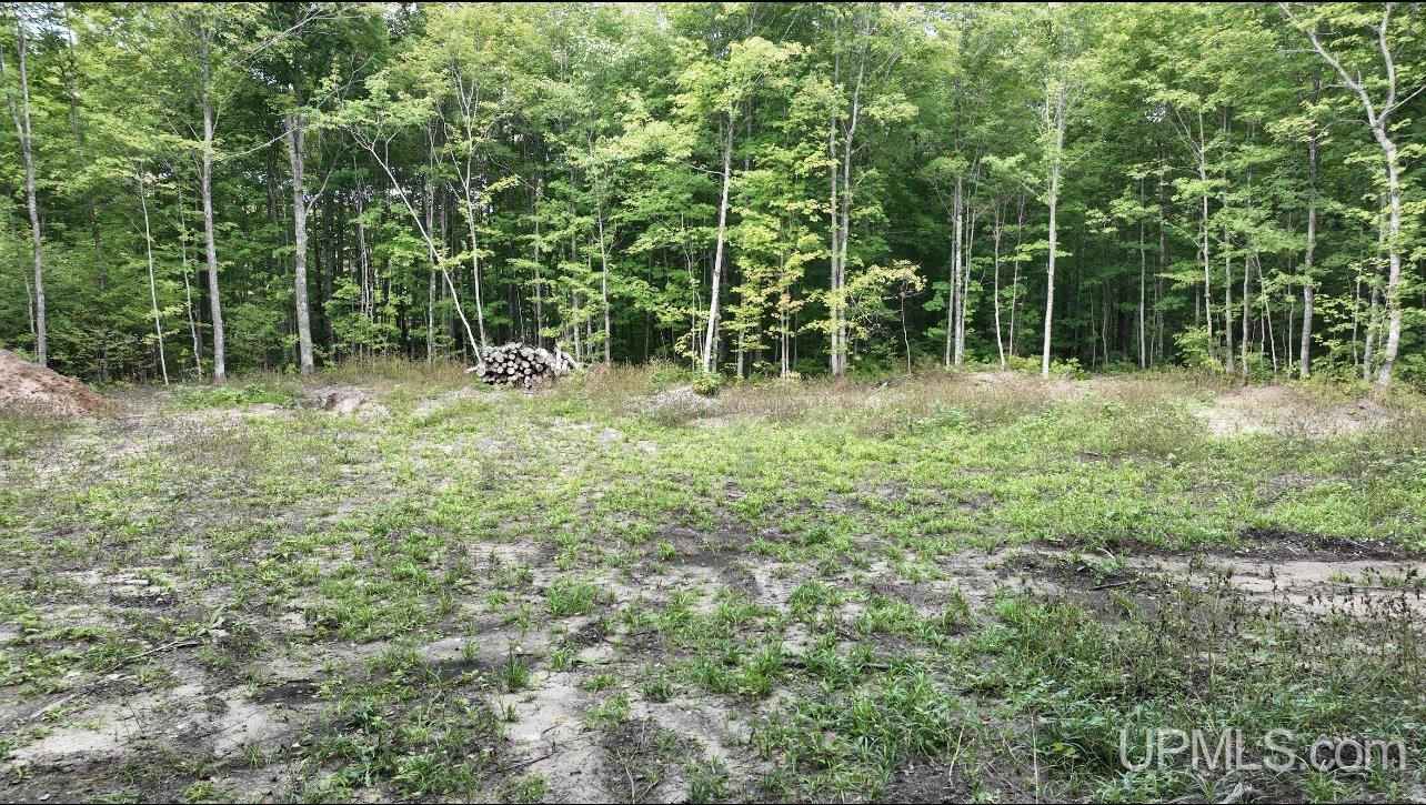 E12696 Co Road, Unit LOT B Shingleton, MI 49884 - Photo 3 of 8