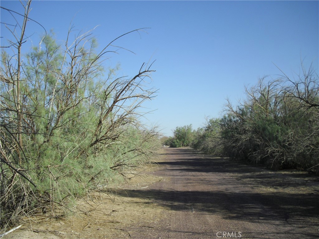 A Silver Valley Road Newberry Springs, CA 92365 - Photo 17 of 20