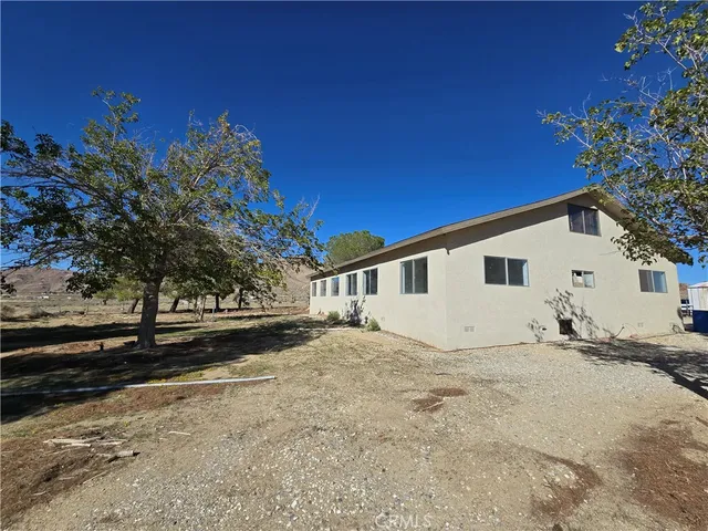 a view of yard with trees