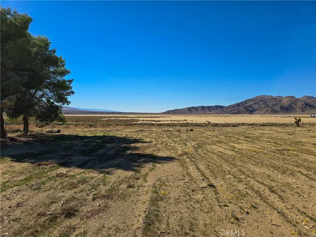 a view of a dry yard with mountain