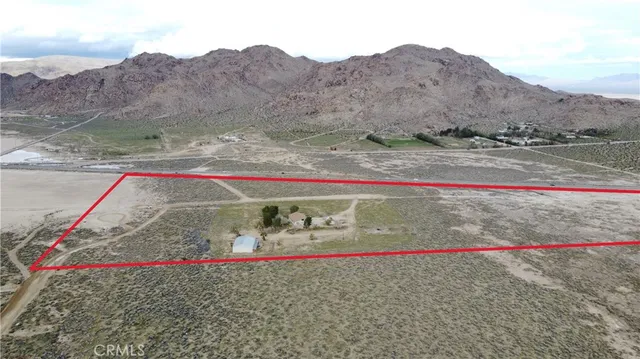 a view of a lake in middle of the forest