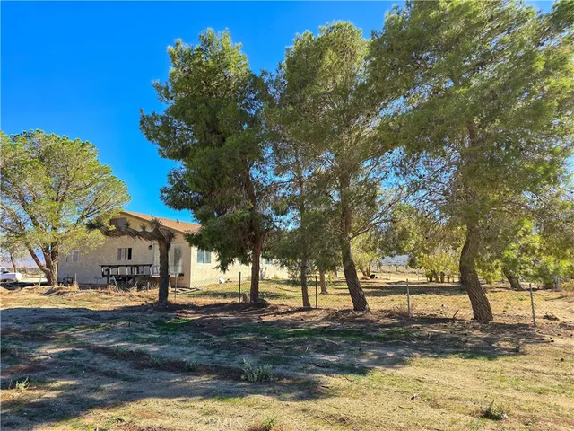 a view of yard with trees