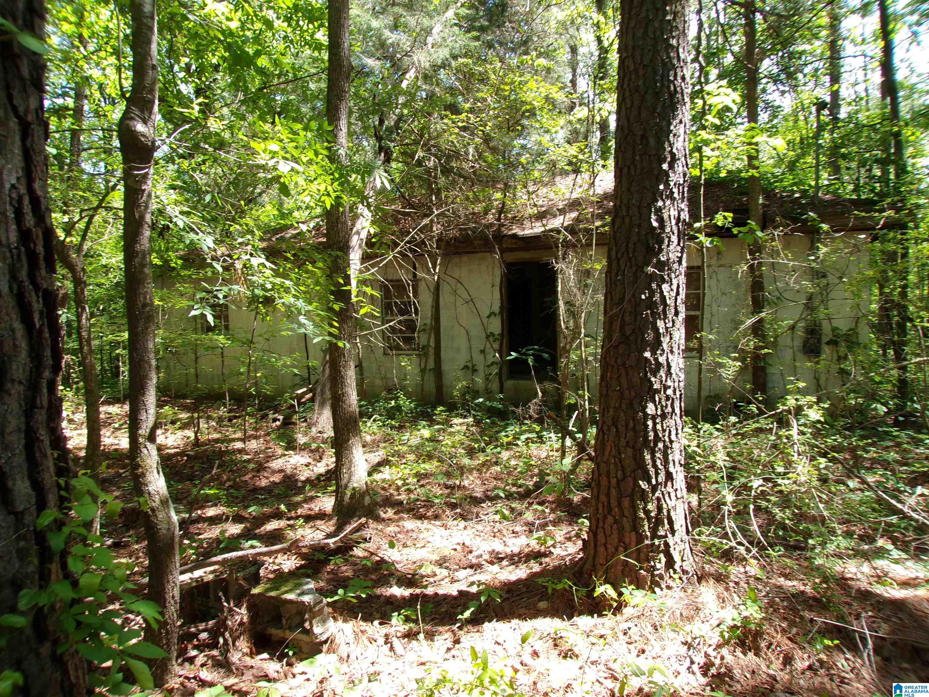 1 St Mary Road South, Unit 1 Lincoln, AL 35096 - Photo 12 of 23