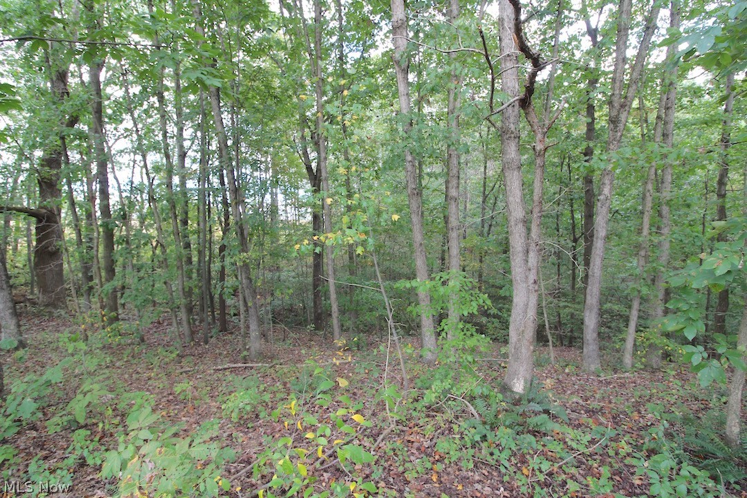 8820 Euga Road Newcomerstown, OH 43832 - Photo 17 of 35 Gallery Image 17