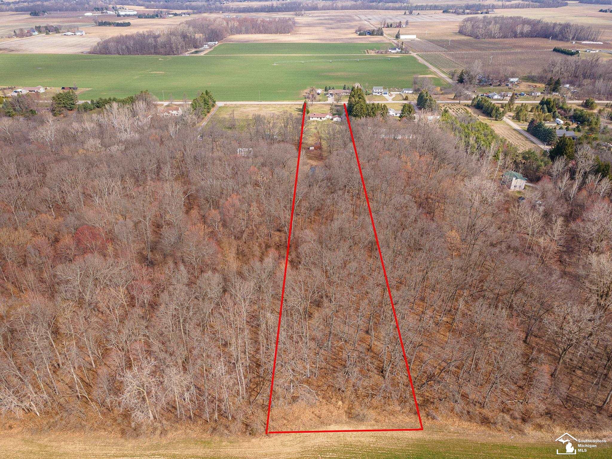 20599 Ida Center Road Petersburg, MI 49270 - Photo 47 of 51