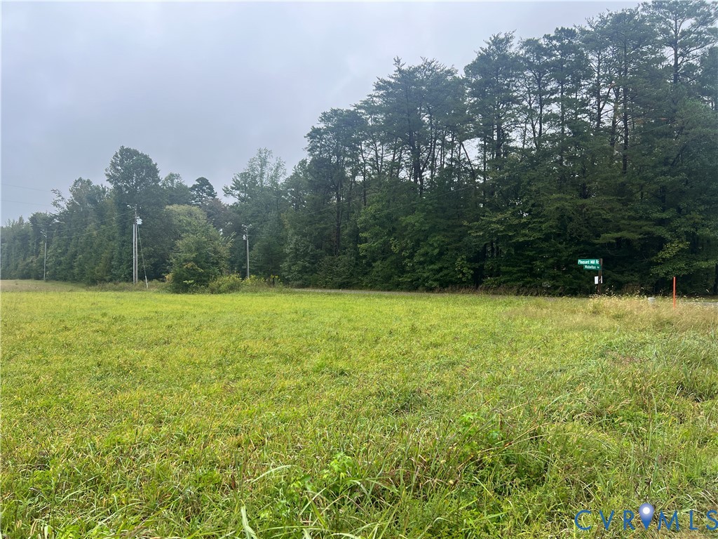0 Mabelton Road Montpelier, VA 23192 - Photo 5 of 5 a view of a yard