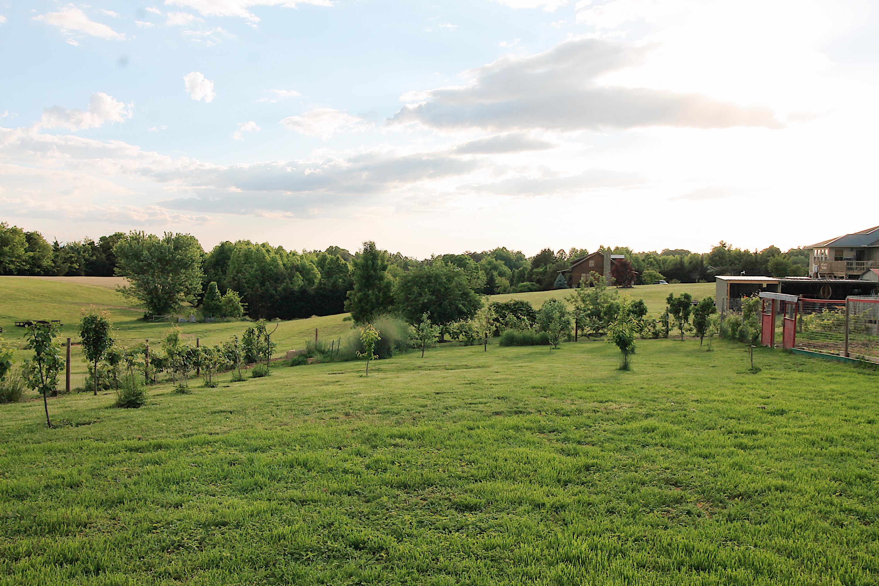 1040 Keller Road Afton, TN 37616 - Photo 39 of 43 IMG_0122