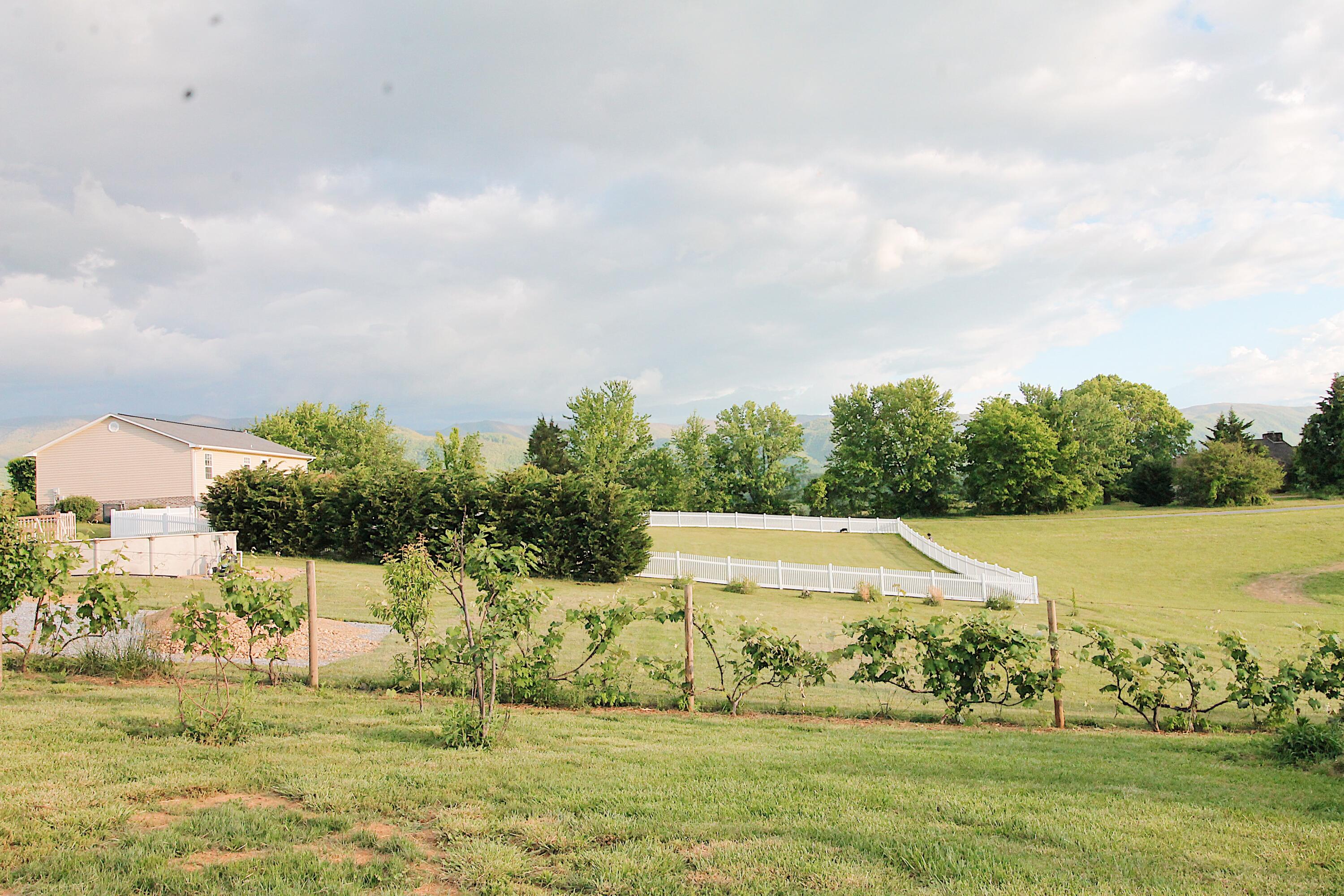 1040 Keller Road Afton, TN 37616 - Photo 40 of 43 IMG_0128