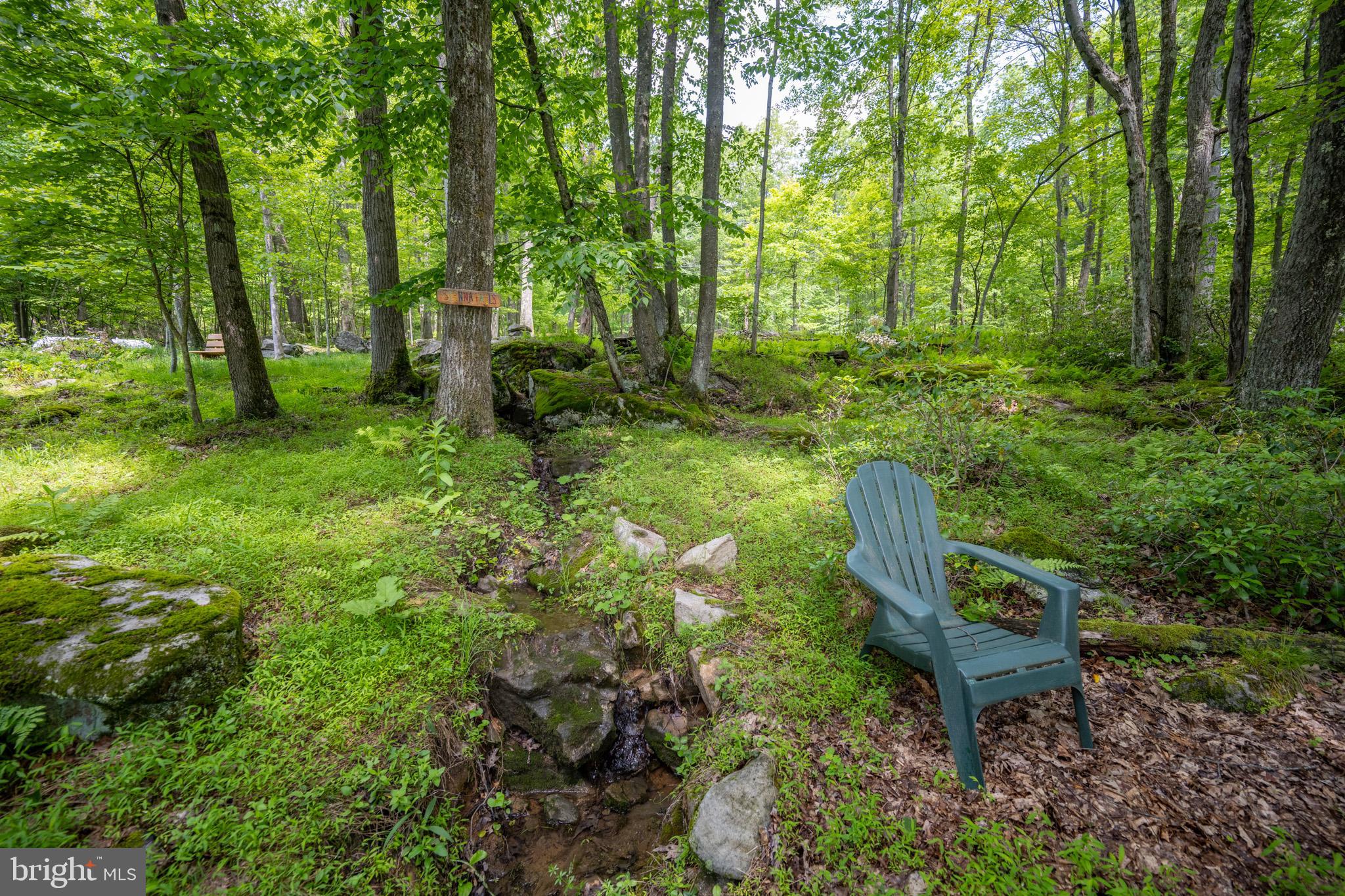328 Stool Rock Road Oakland, MD 21550 - Photo 103 of 133 a garden view