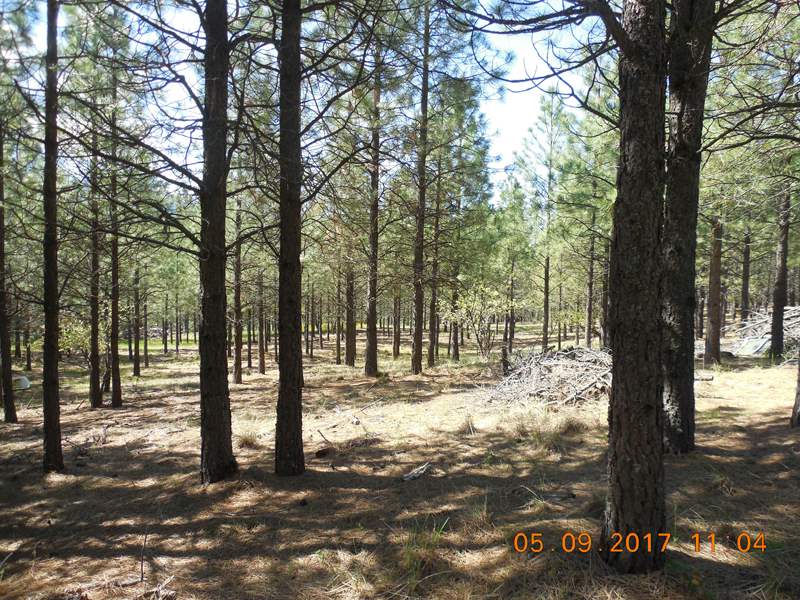 0 Old Kettle Road Kettle Falls, WA 99141 - Photo 4 of 10 Gallery Image 4