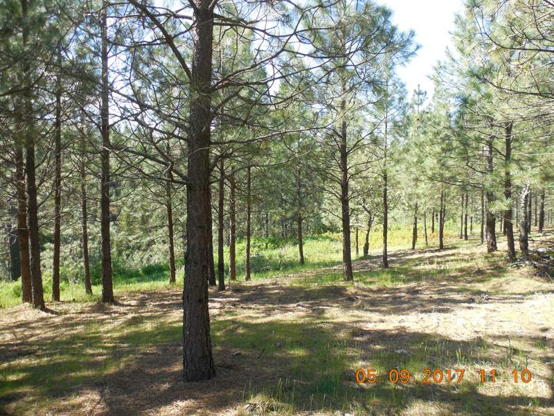 0 Old Kettle Road Kettle Falls, WA 99141 - Photo 6 of 10 Gallery Image 6