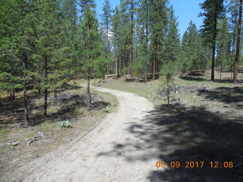 0 Old Kettle Road Kettle Falls, WA 99141 - Photo 9 of 10 Gallery Image 9