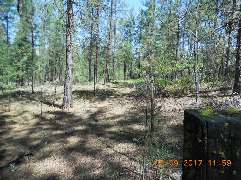 0 Old Kettle Road Kettle Falls, WA 99141 - Photo 10 of 10 Gallery Image 10