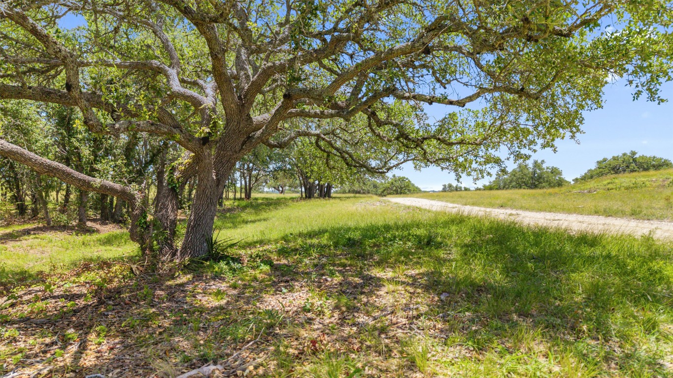 2 Lindeman Lane Blanco, TX 78606 - Photo 11 of 12 a view of yard with green space