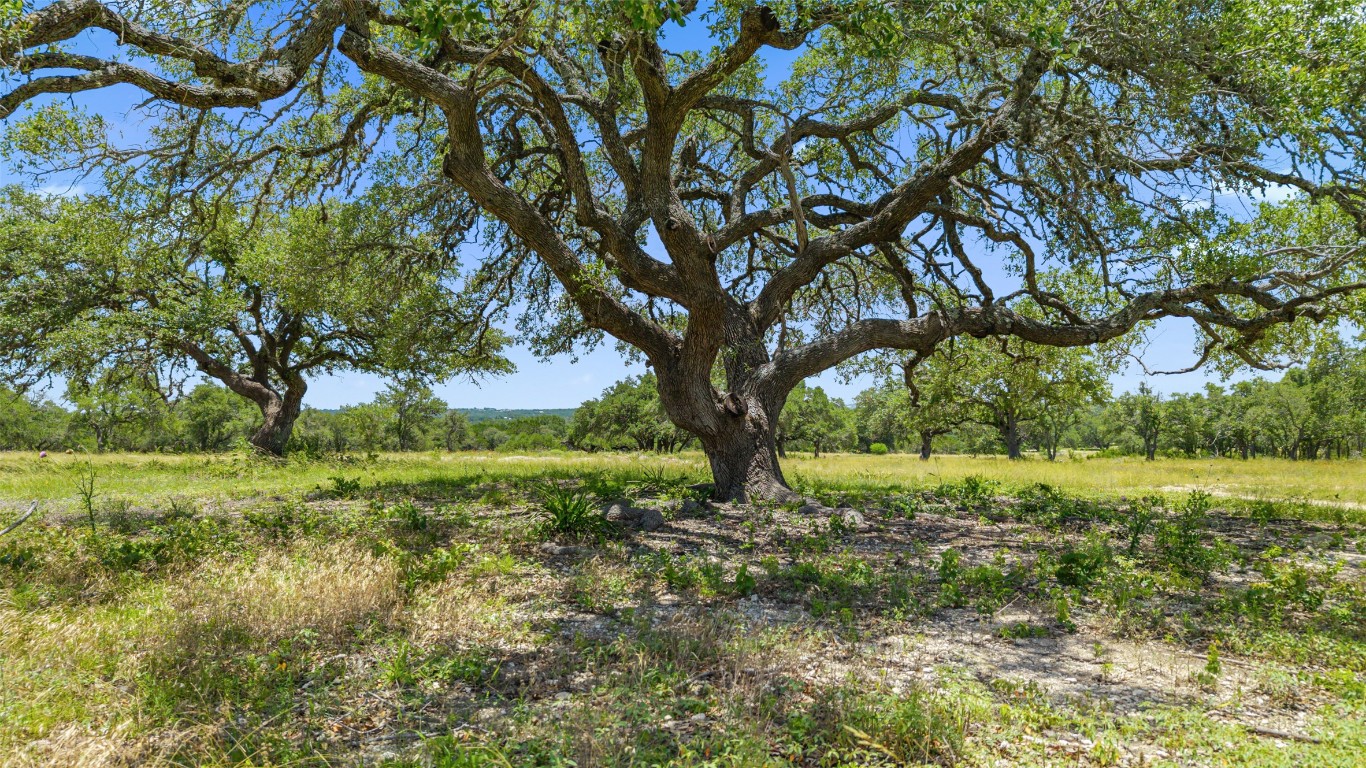 2 Lindeman Lane Blanco, TX 78606 - Photo 3 of 12 a view of outdoor space and yard