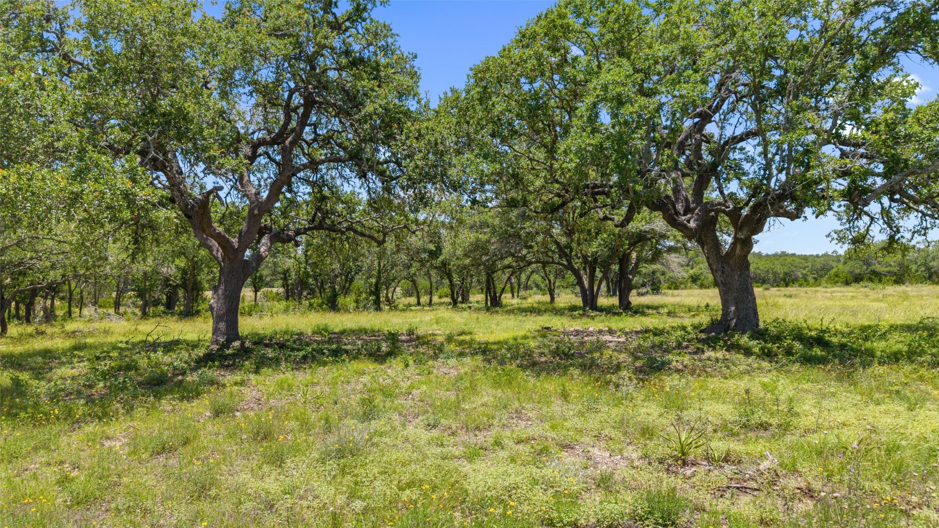 2 Lindeman Lane Blanco, TX 78606 - Photo 4 of 12 a view of a garden with trees