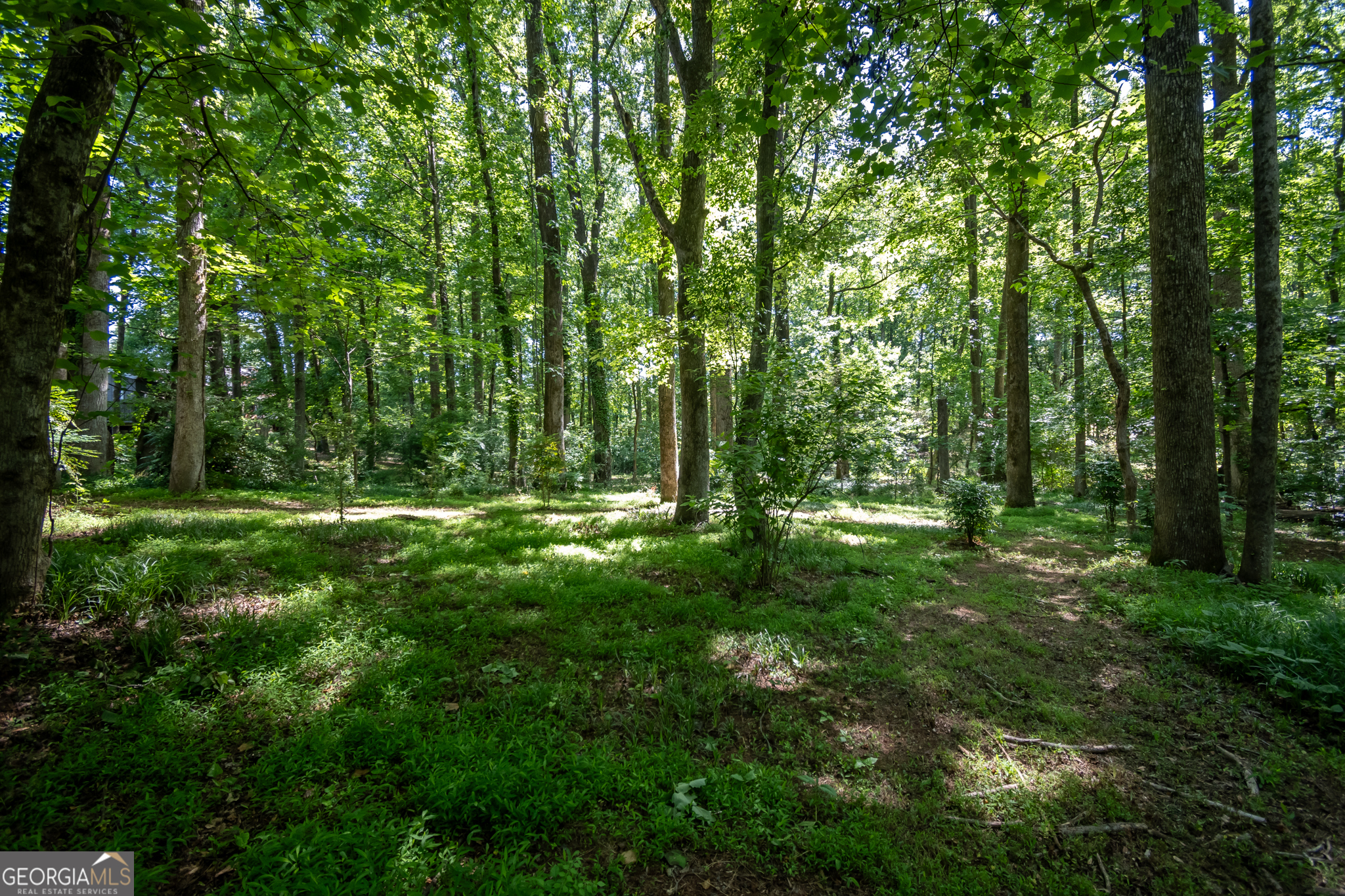 1051 Crooked Creek Road Watkinsville, GA 30677 - Photo 47 of 62
