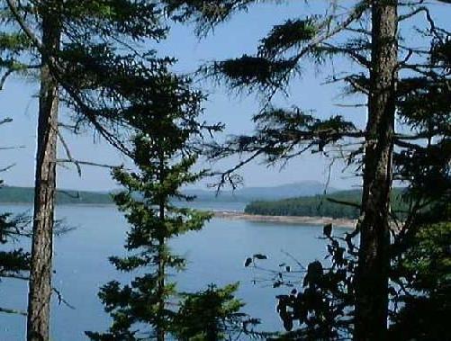 0 Summer Harbor Road Winter Harbor, ME 04693 - Photo 4 of 5 Beautiful elevation and a pocket...
