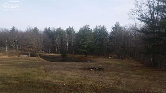 12489 Nichols Road Burt, MI 48417 - Photo 23 of 25 20426156-22.JPG